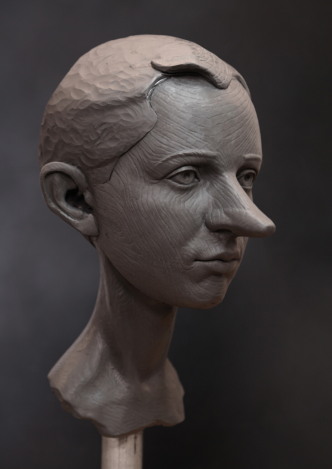 Pinocchio 2018 (Initial Pinocchio Concept Sculpture)