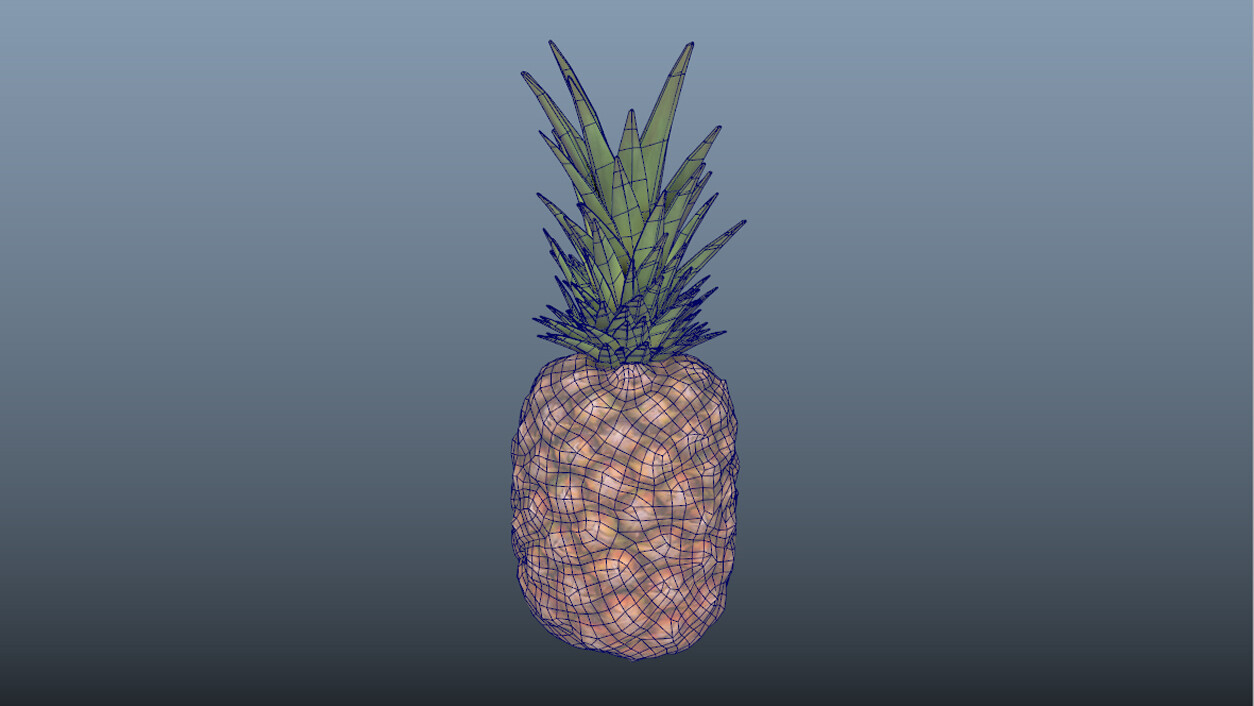 Exotic Fruit Pineapple Wireframe