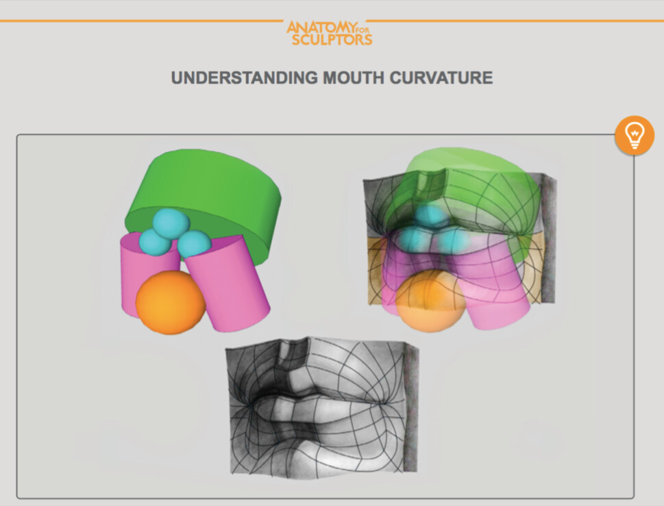 anatomy-for-sculptors-undersanting-the-mouth-curvature-by-anatomy4sculptors.jpg?1592144351&dl=1