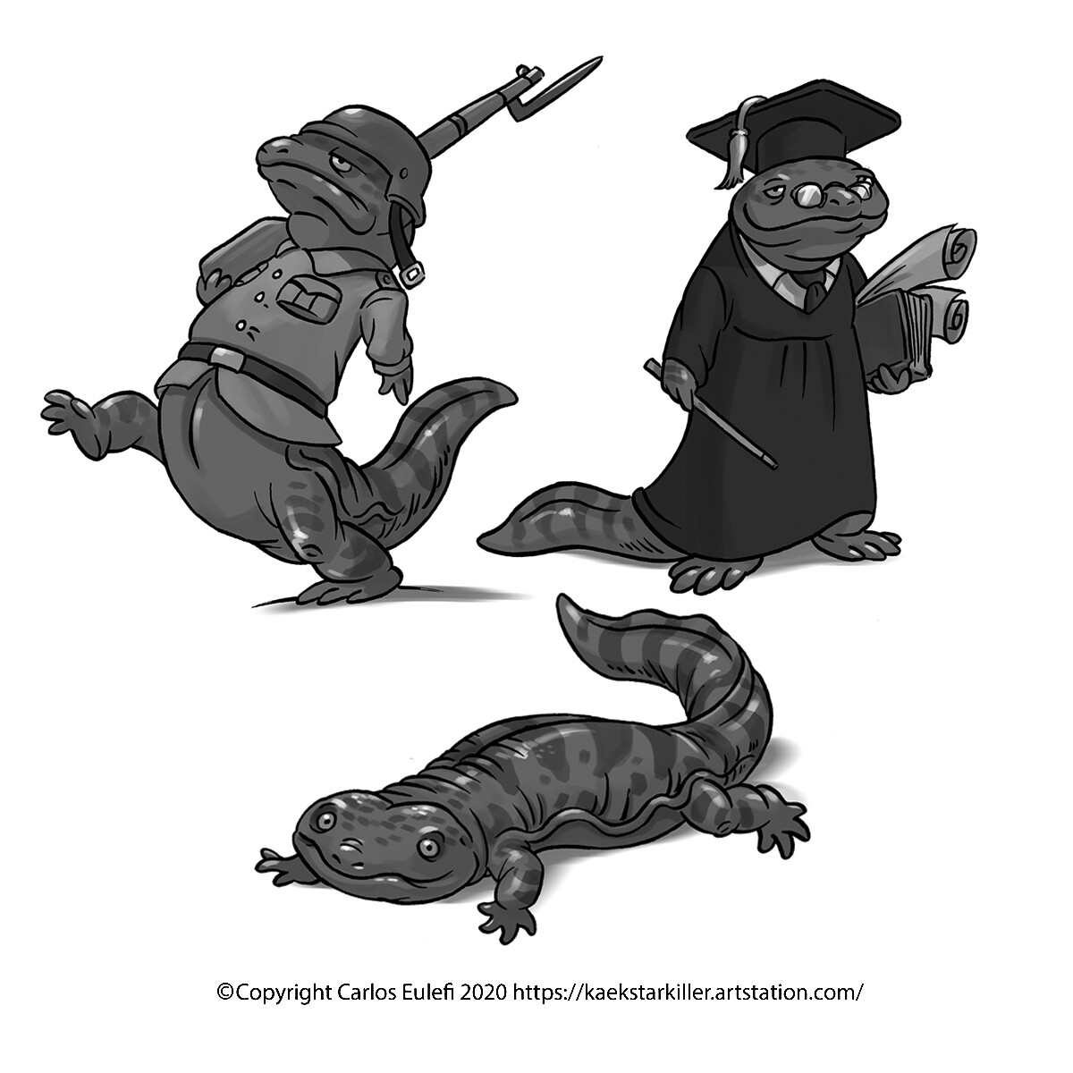 Some Tapa-Tapa salamanders studies and sketches