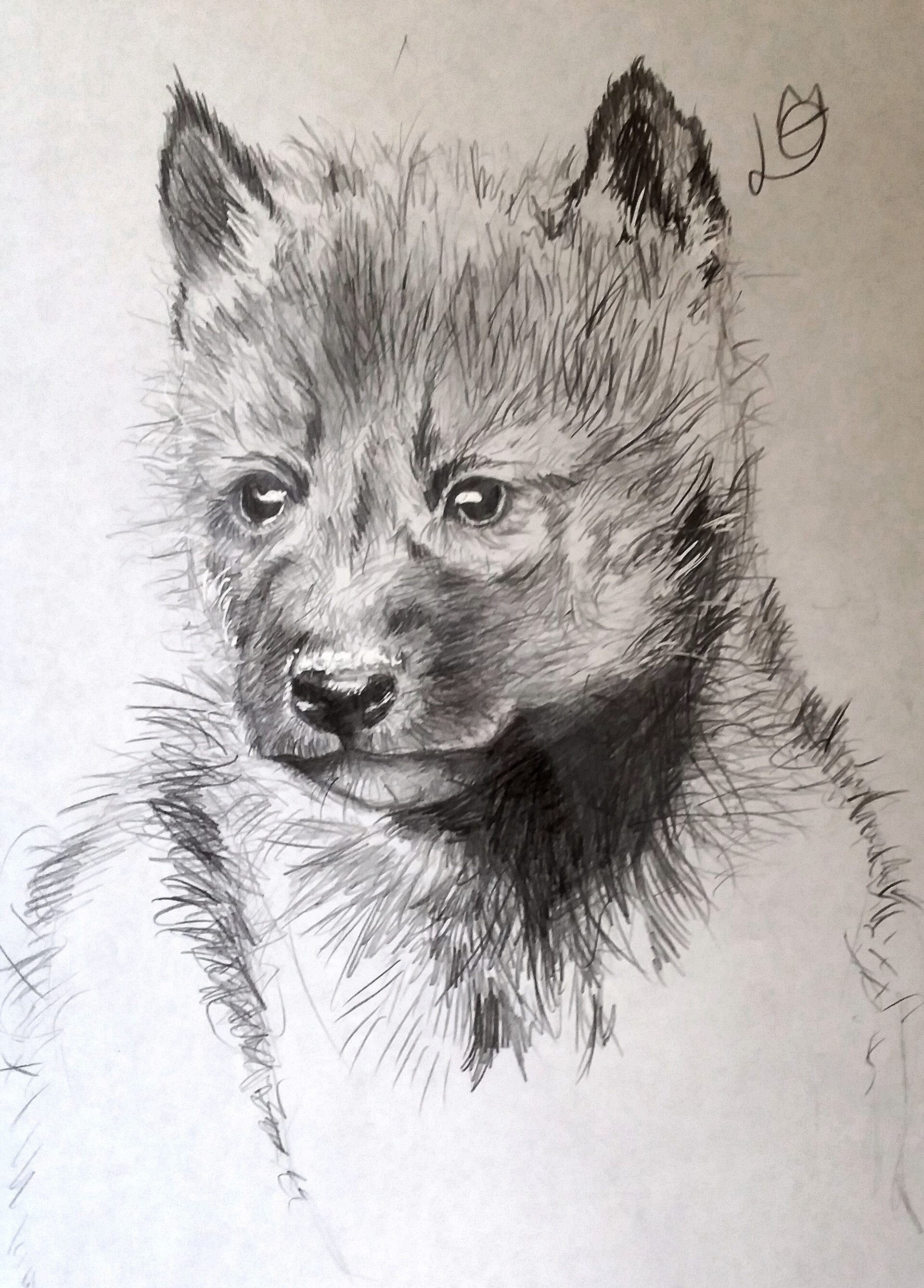 Loreena Art Louveteau