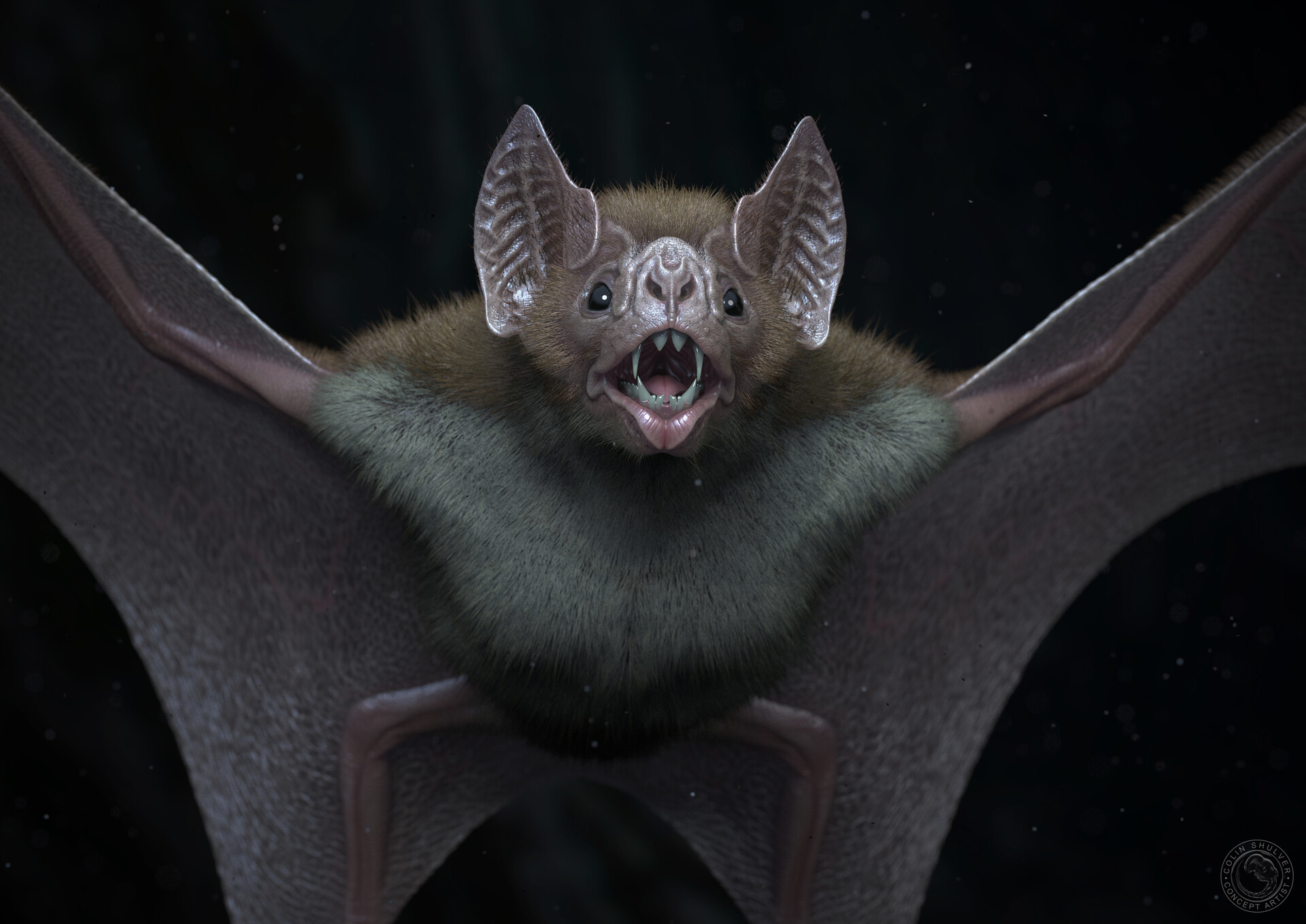 COLIN SHULVER - Vampire Bat