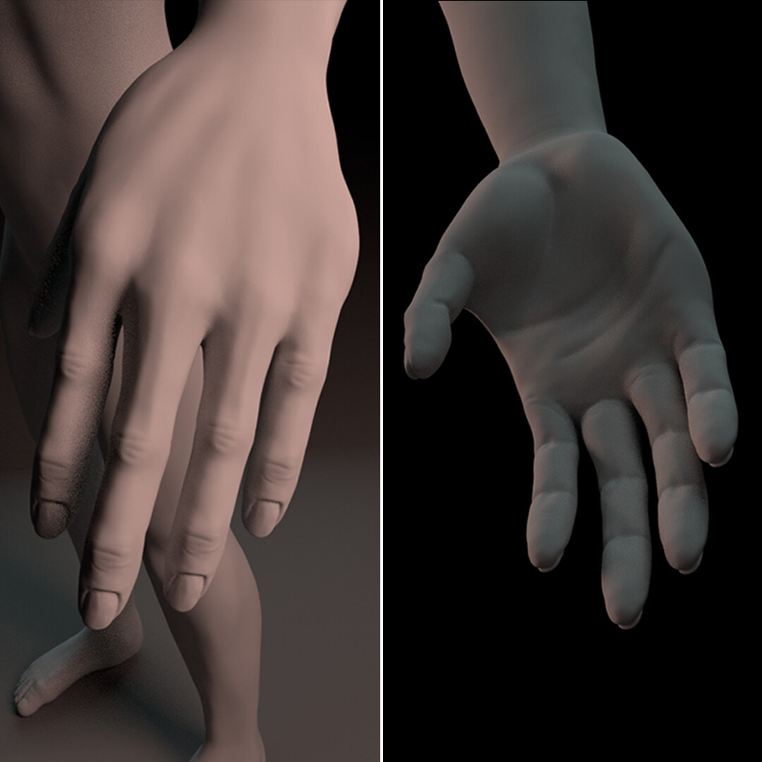 Close-Up of a Hand