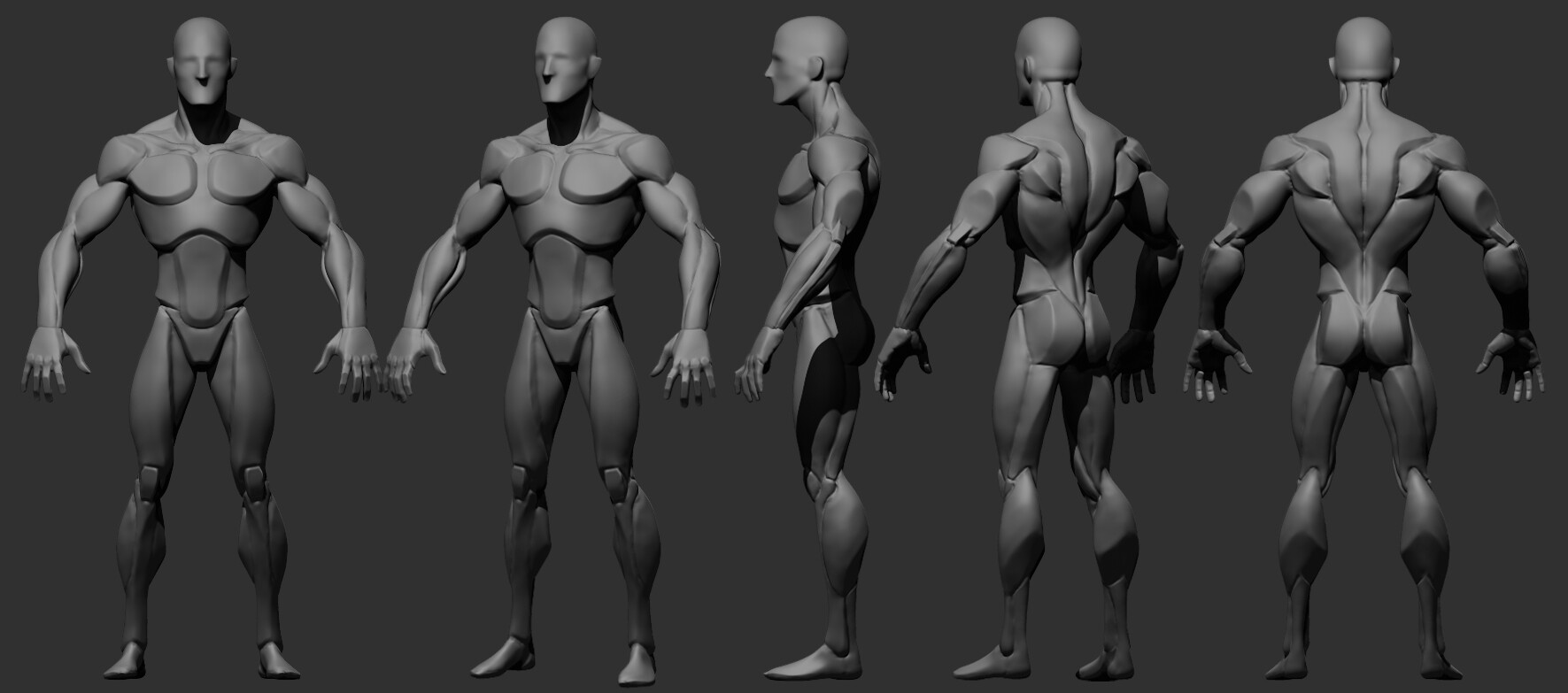J0ge5at Rtj 4m Muscles are made up of highly specialized thin and elongated cells called muscle fibres. https yuchichin artstation com projects b1mng9