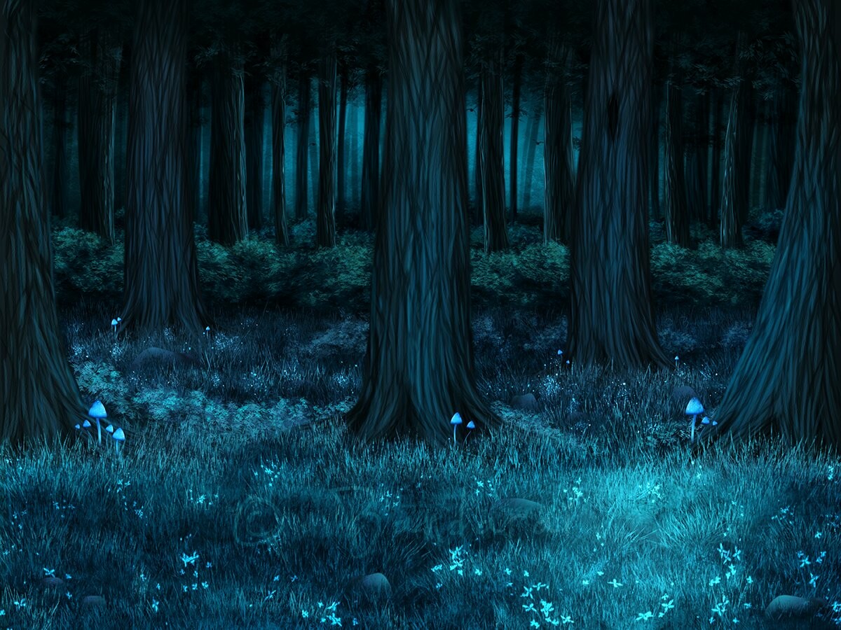 Featured image of post Dark Background Images Forest