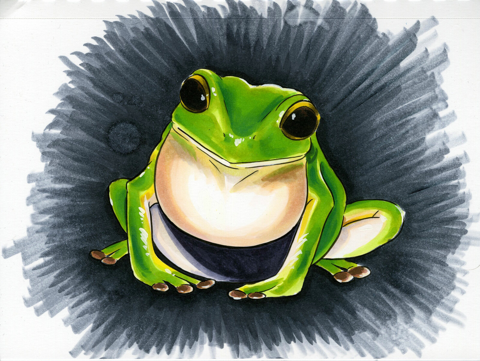 The completed frog illustration.