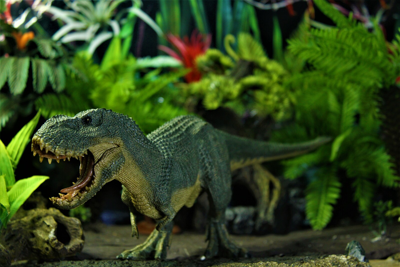 rebor v rex