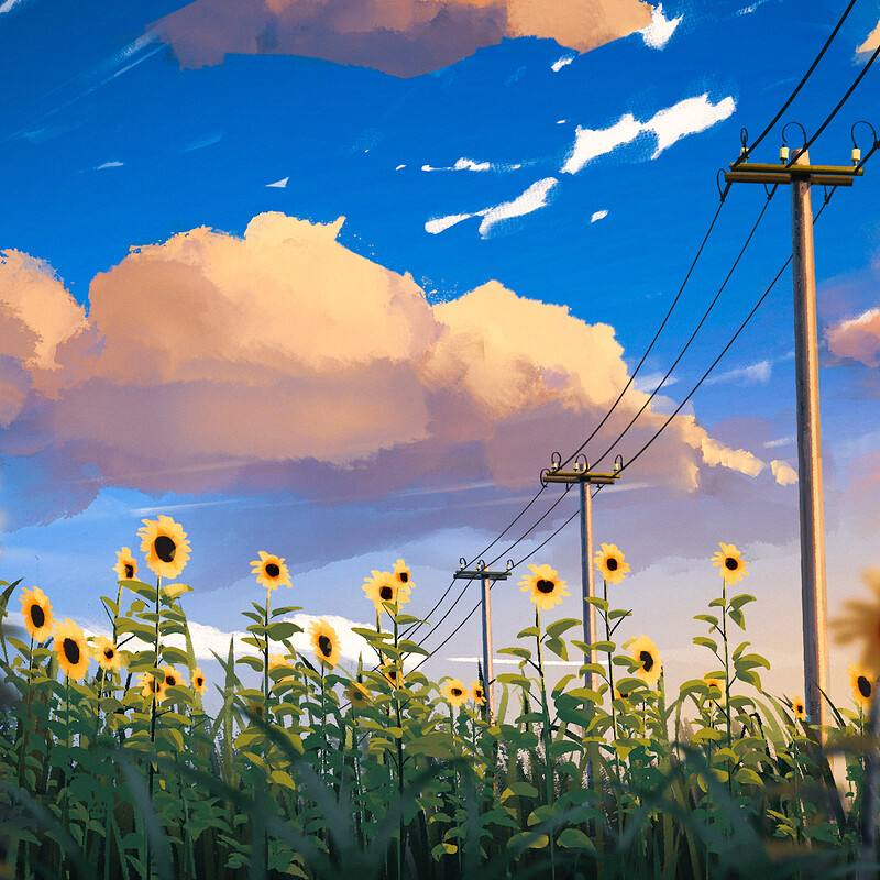 Sunflower (68/365)