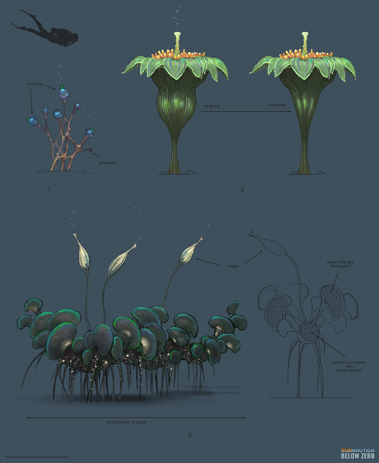 Air giving plant design ideas