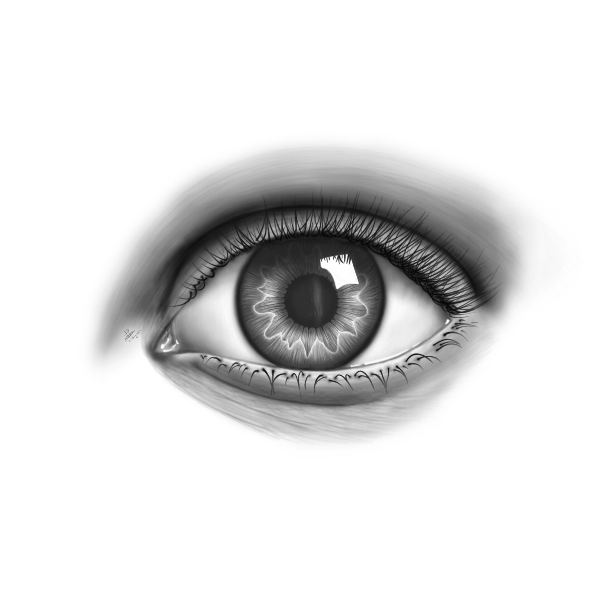 ArtStation Realistic Human Eye Drawing