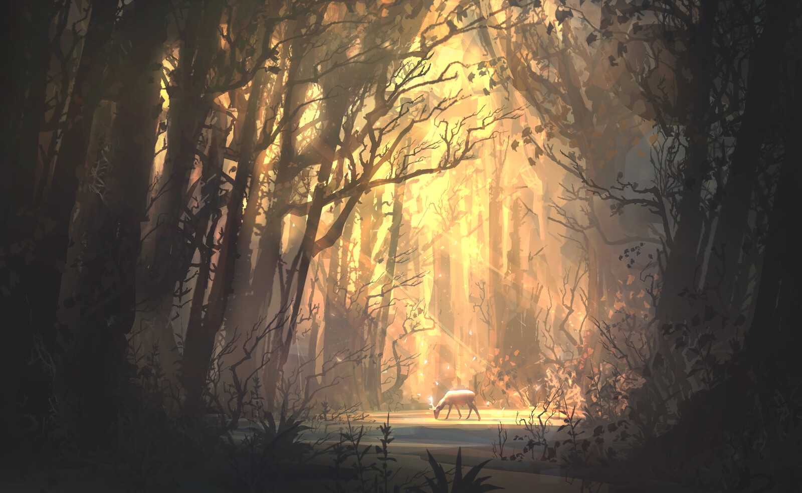 Woodland
