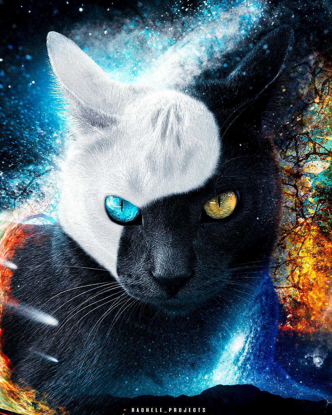 ArtStation - Warrior Cats: Yin & Yang