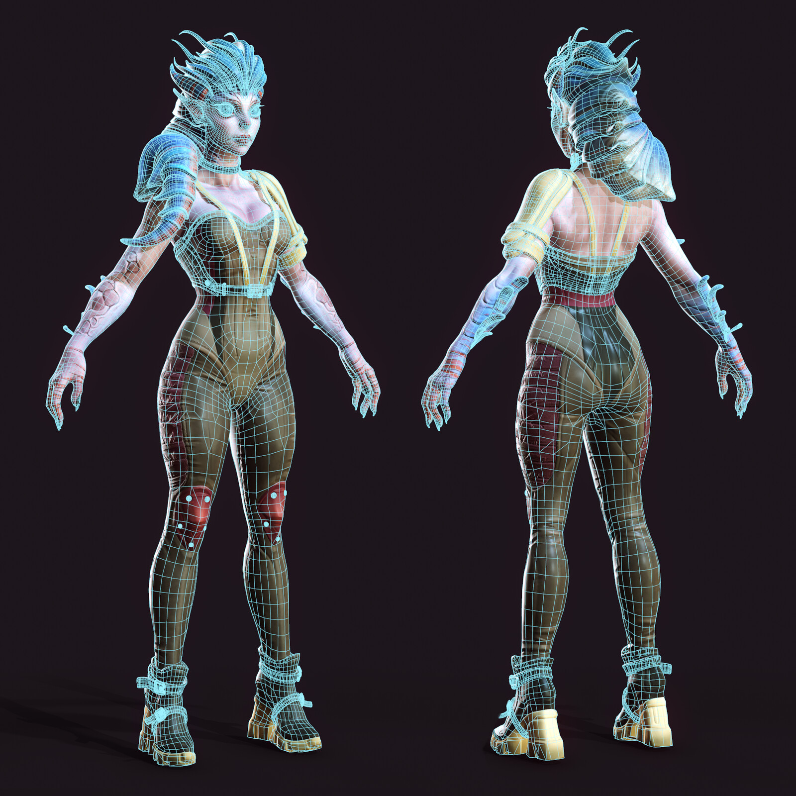 Wireframe