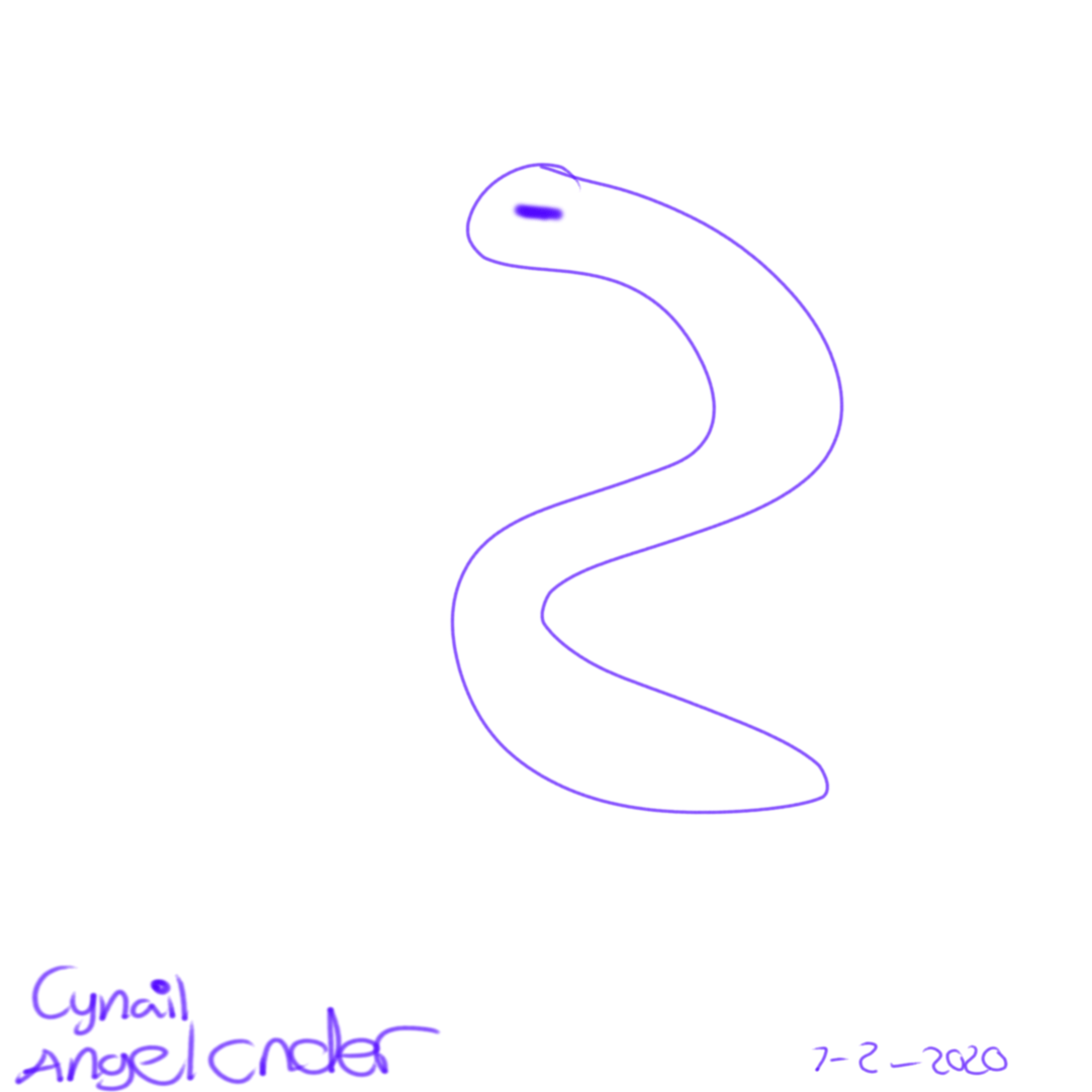 Artstation Warm Ups Part 1 Cynail Secord