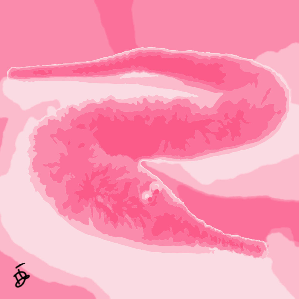 Dave Ijzelenberg Worms on a string