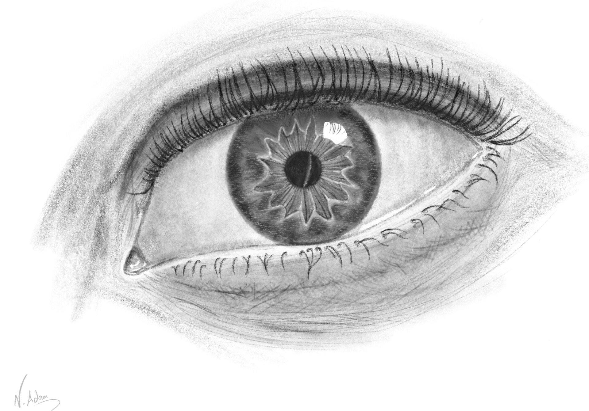 How to Draw a Realistic Eye : 14 Steps (with Pictures) - Instructables