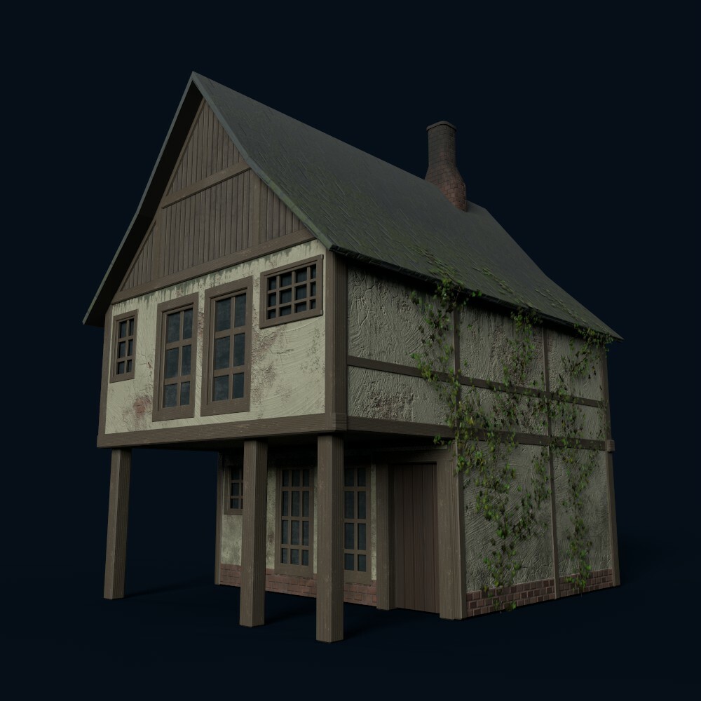 House 3 
(model by Thomas De Neef)