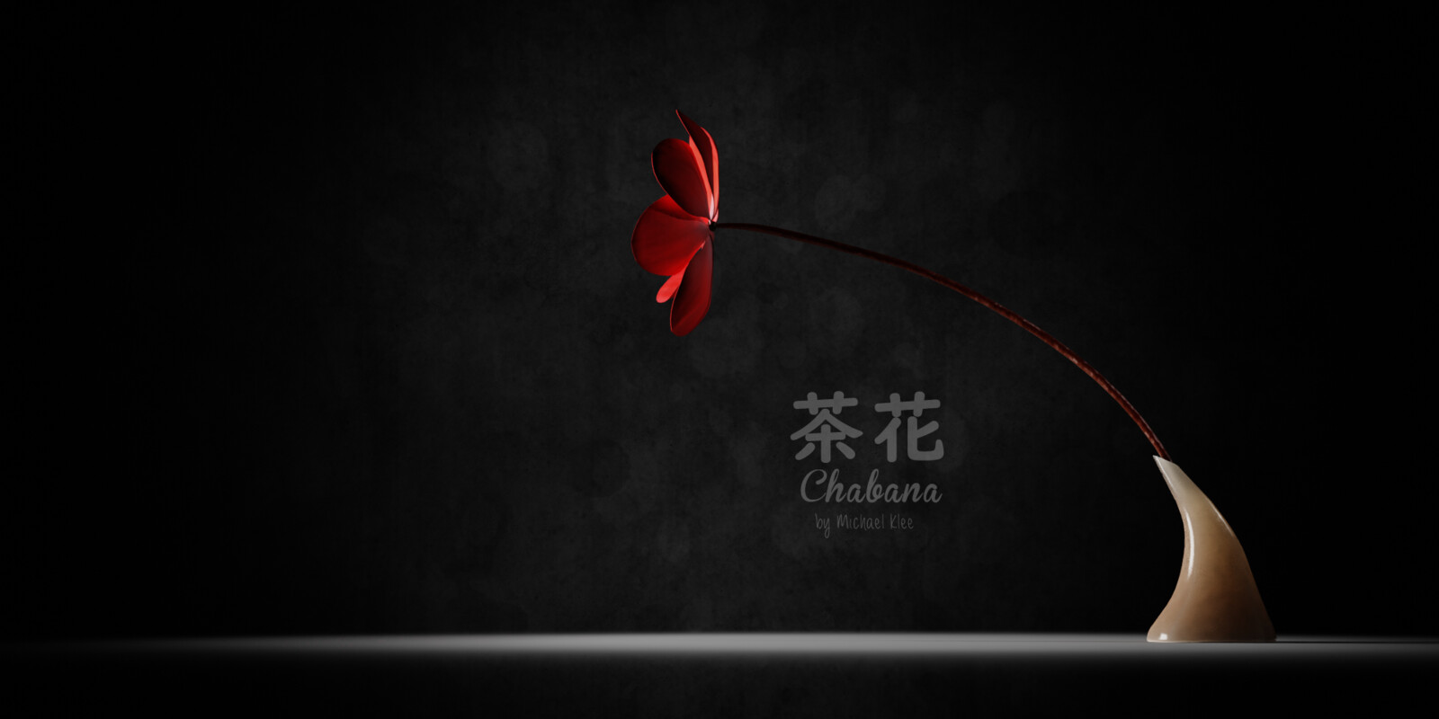 Chabana 茶花 Japanese Flower Art attraction