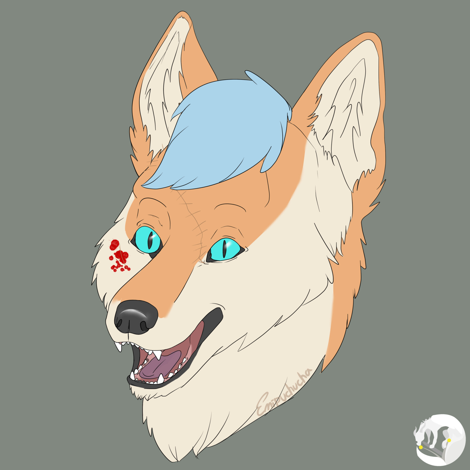 Amethyst the zombie wolf