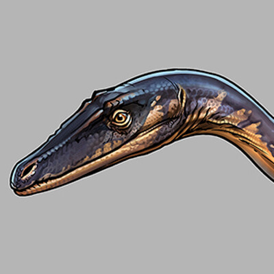 Coelophysis