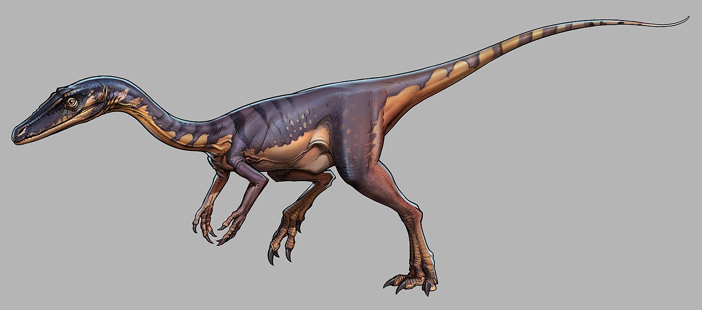 Coelophysis