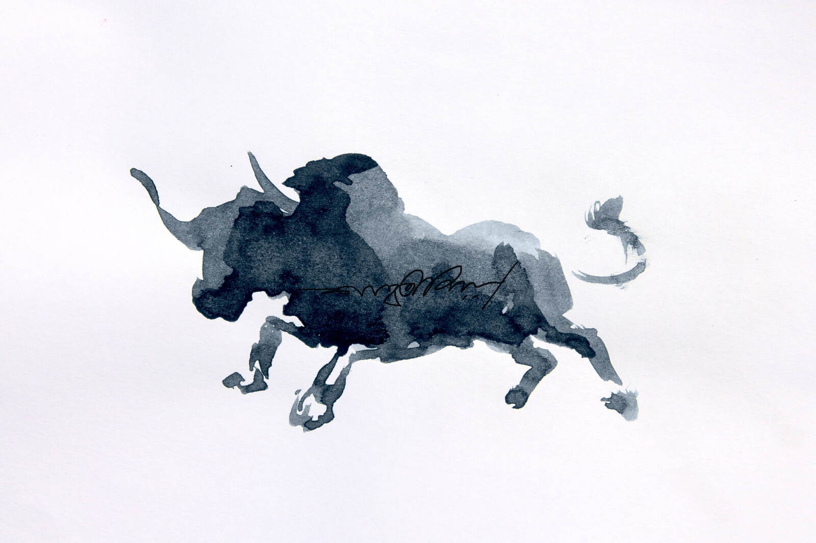 BULL WATERCOLOR ILLUSTRATION