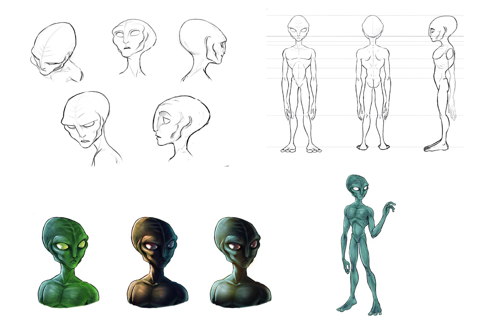 Jeton Lakna, Animation