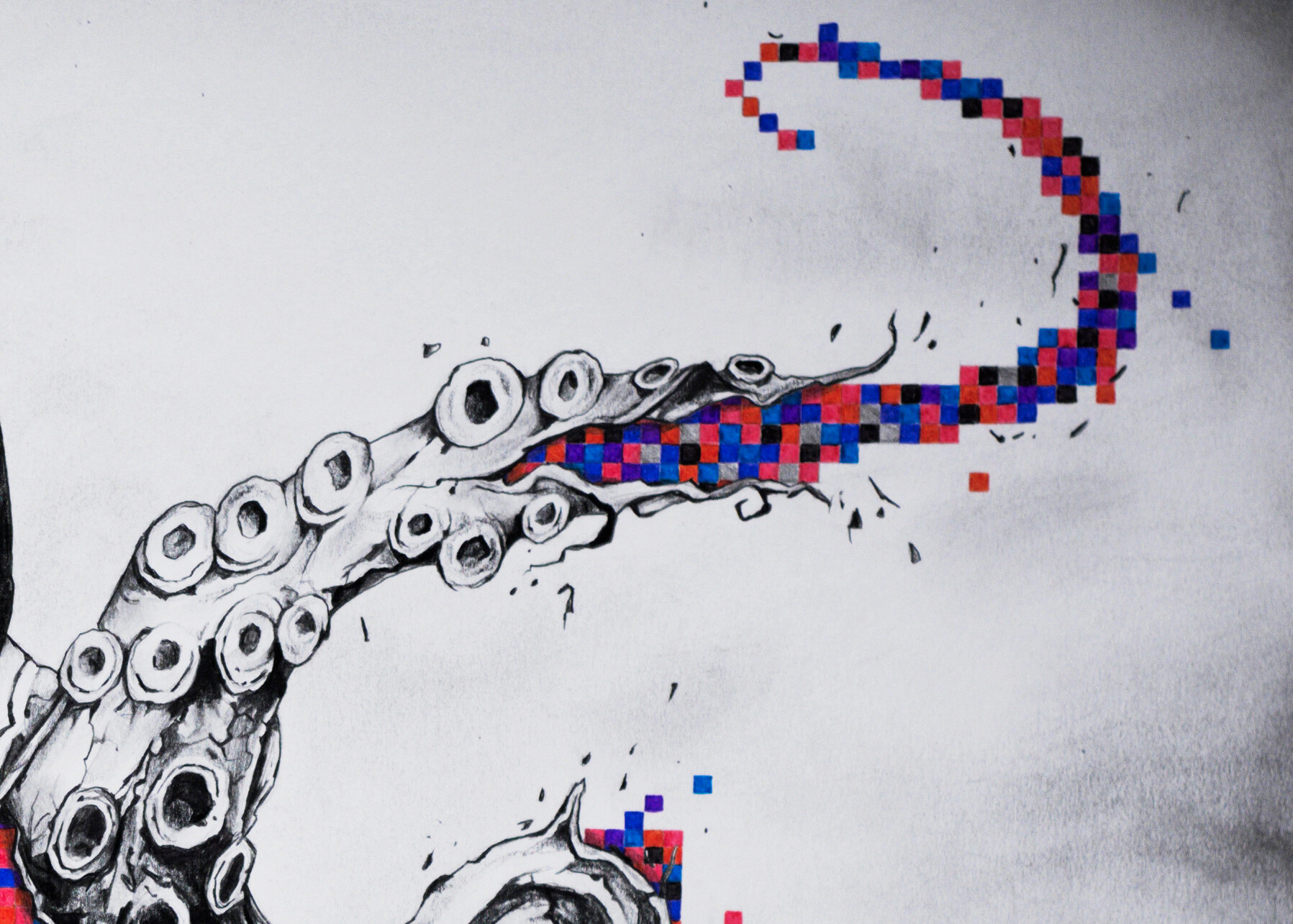 Maxxis Art Octopus Rift