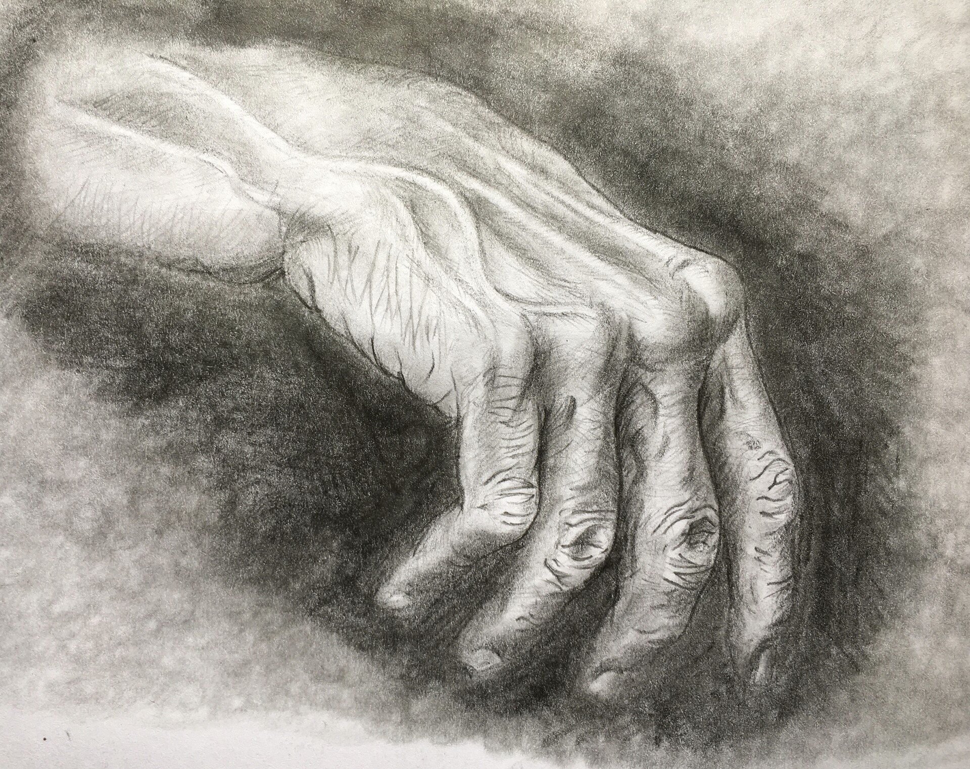 Artstation Old Man Hand Joey Potter Character and creature design notes: artstation old man hand joey potter