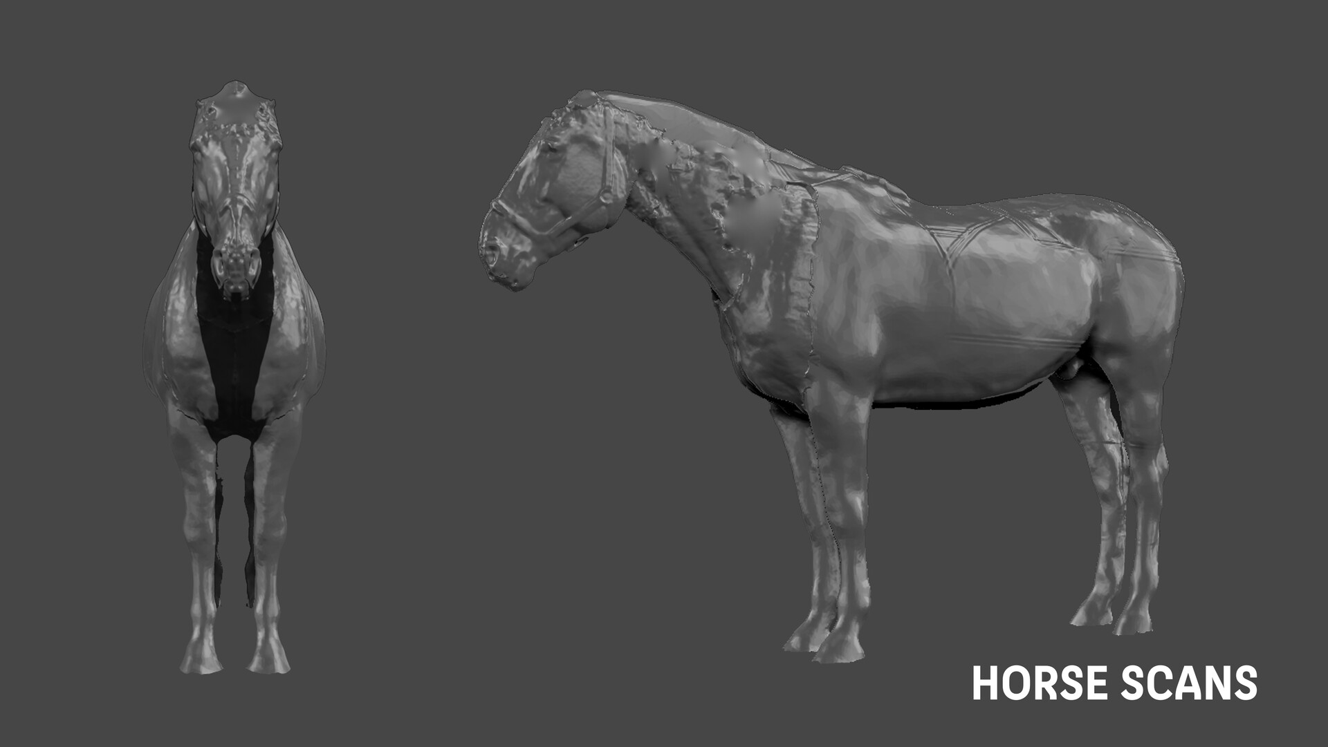 - EQUUS - horse scan