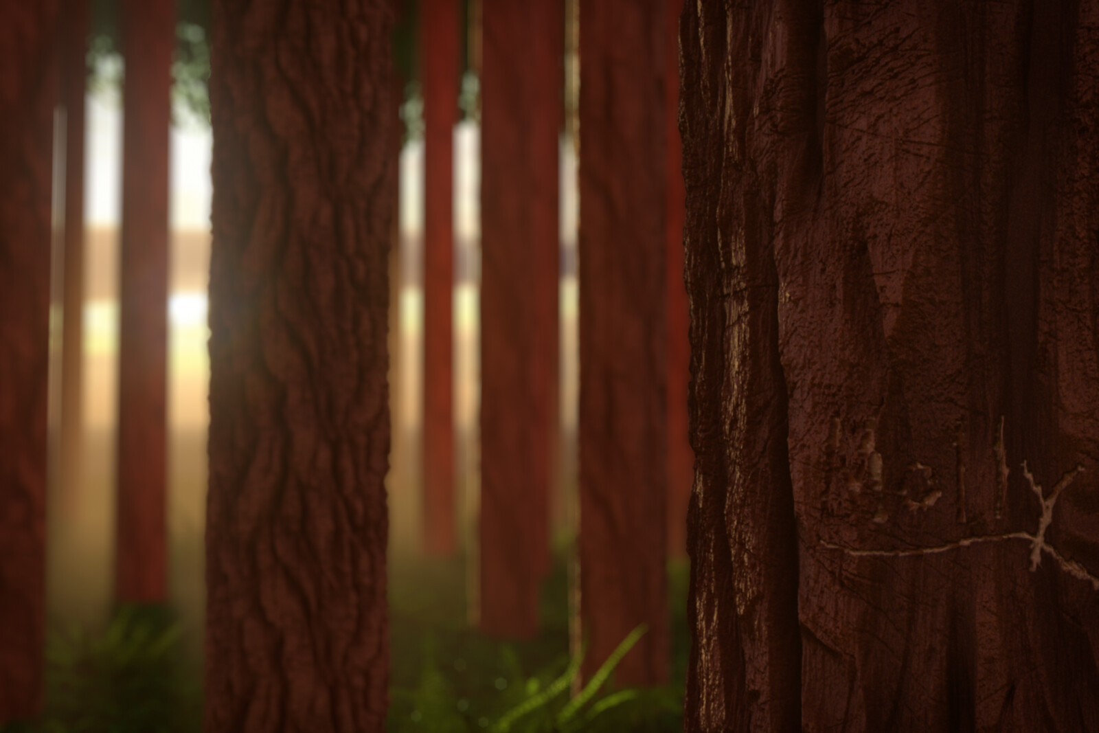 Off the Beaten Path