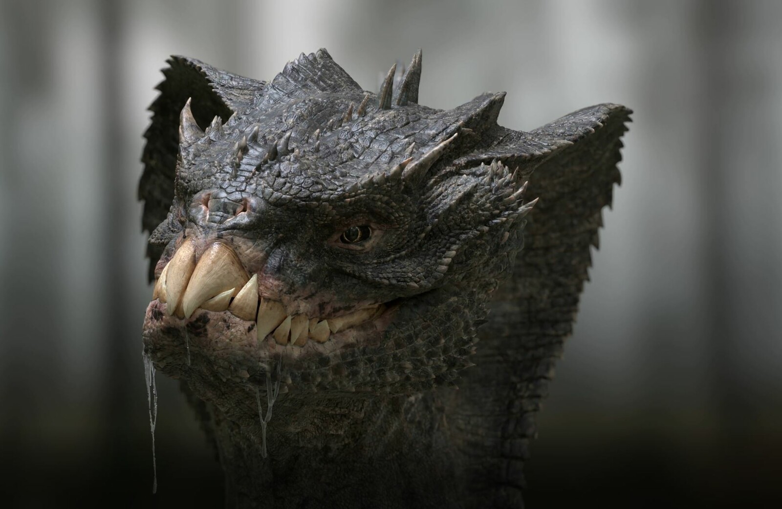 Viper Dragon Renders