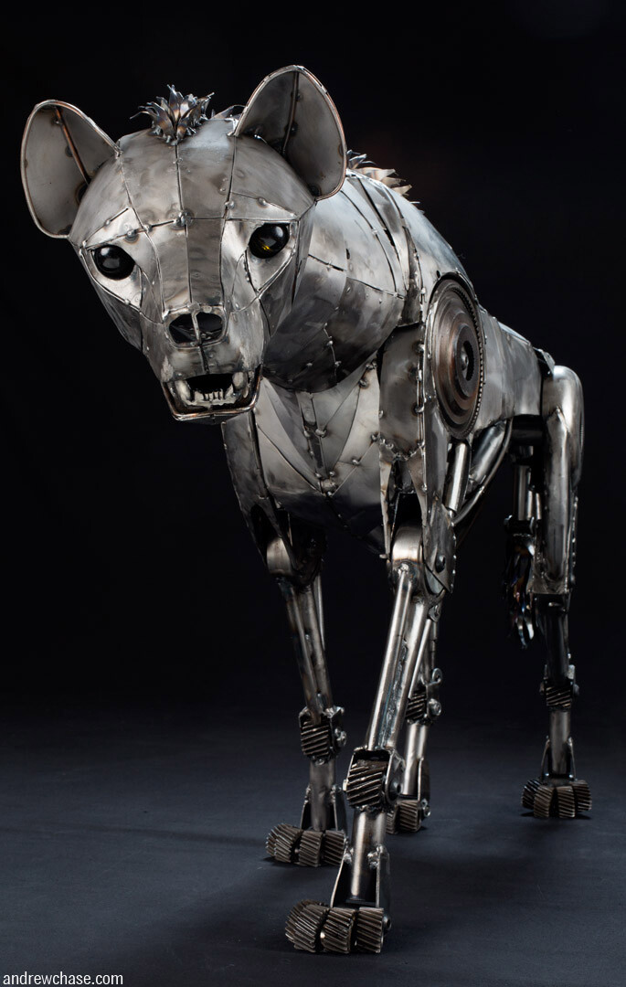 hyena walking - front view