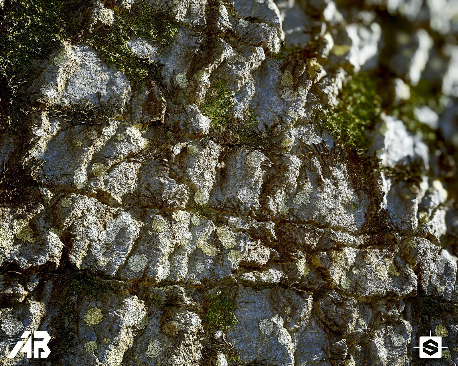 Plane render 1