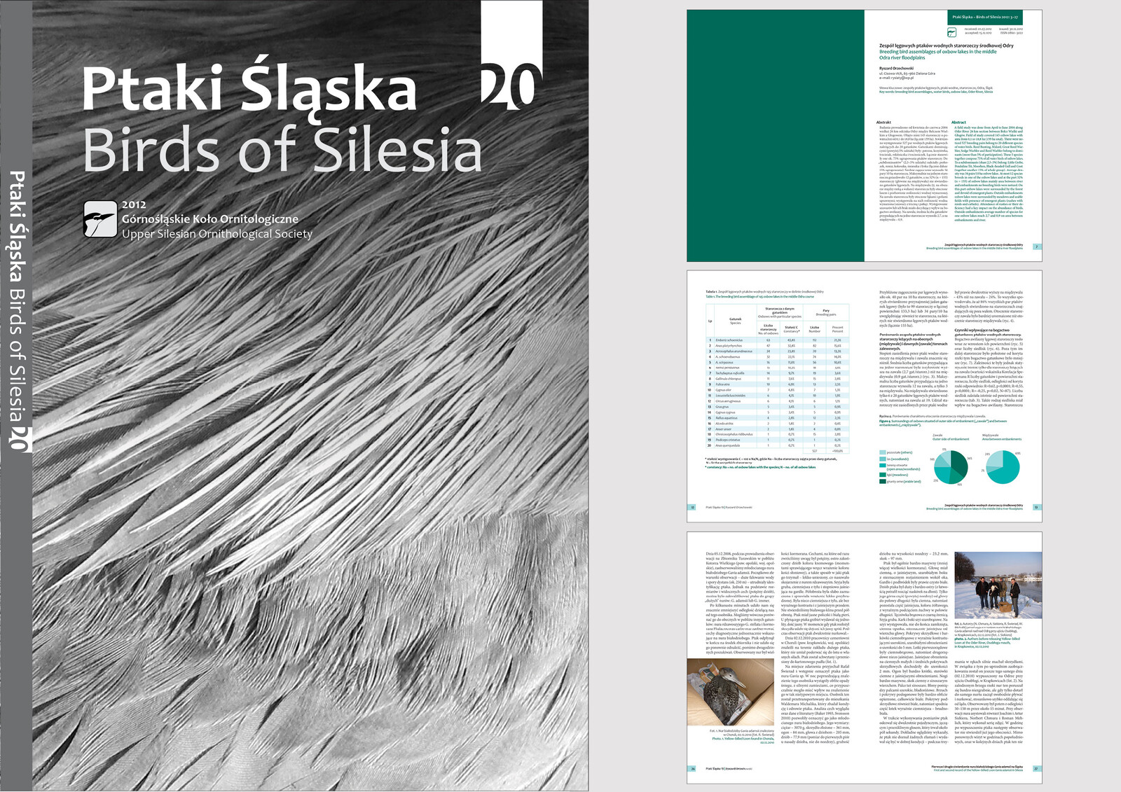 Cover and pages 