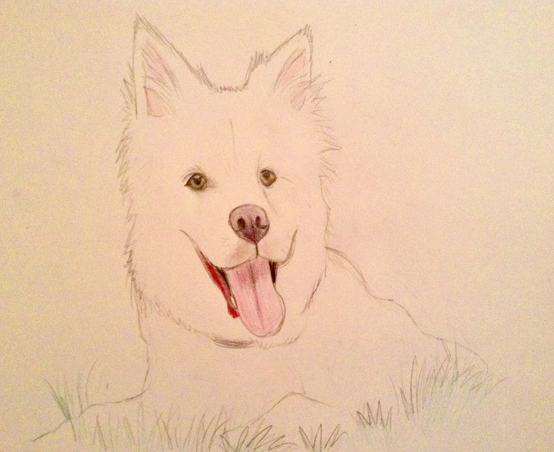 Artstation My Next Realistic Dog Drawing Megs Jewel Sure you can take an online drawing class, but why spend money on that when the secret to. my next realistic dog drawing megs jewel
