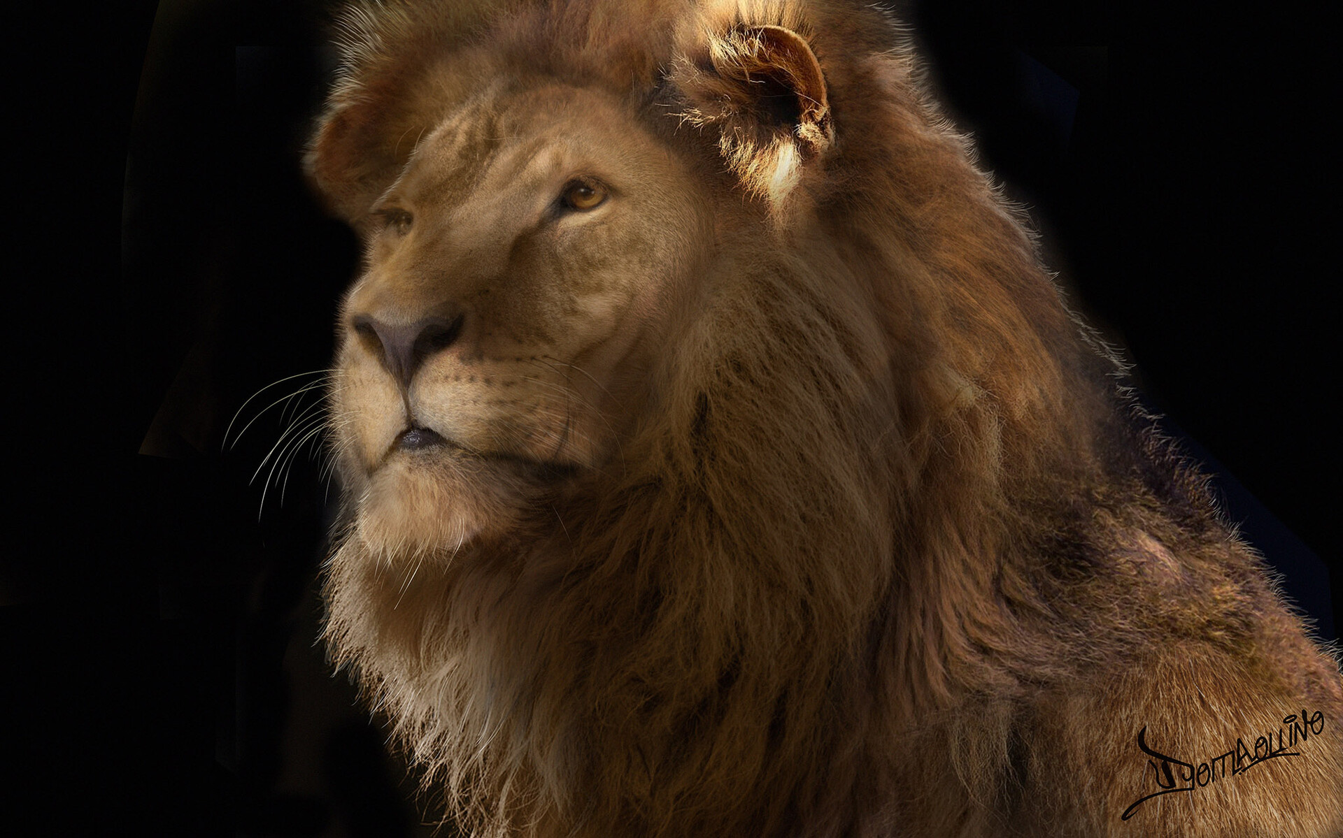 Artstation Lion Texture Fur Study Domingos Aquino $30.95 men's modern casual printed color long sleeve hoodie. lion texture fur study domingos aquino