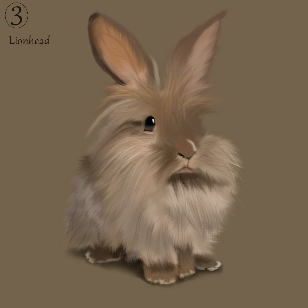 ArtStation - The lionhead