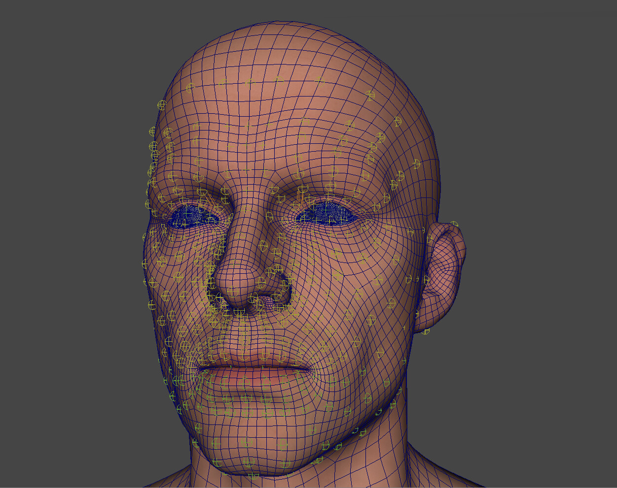 ArtStation - FacialRig Unreal Engine Test