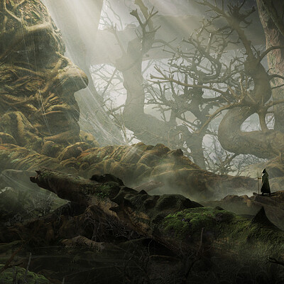 Maciej drabik forest side d2