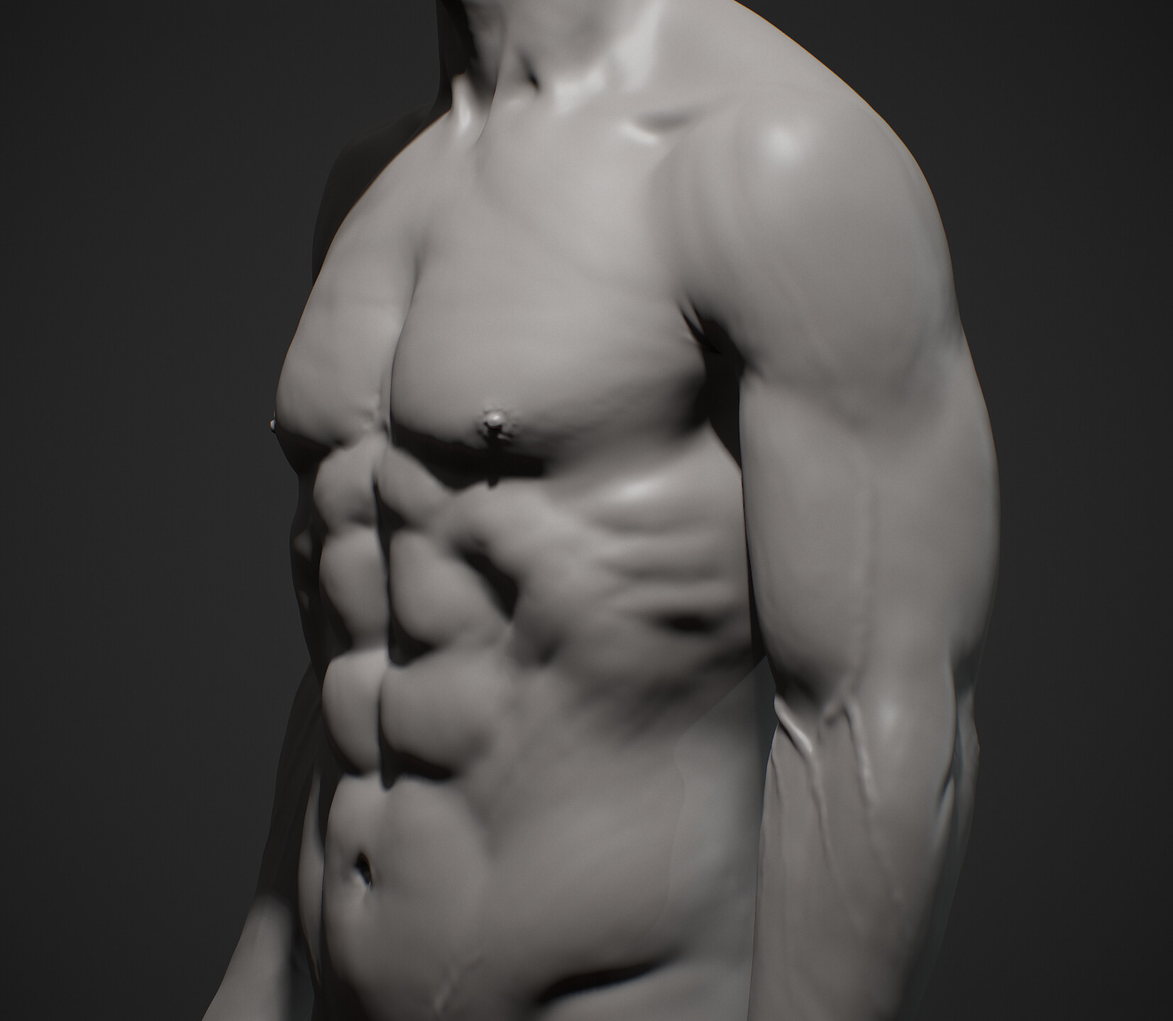 あすつく】 Alva Studios S. Eylanbenkov Male Torso - petrino-kos.gr