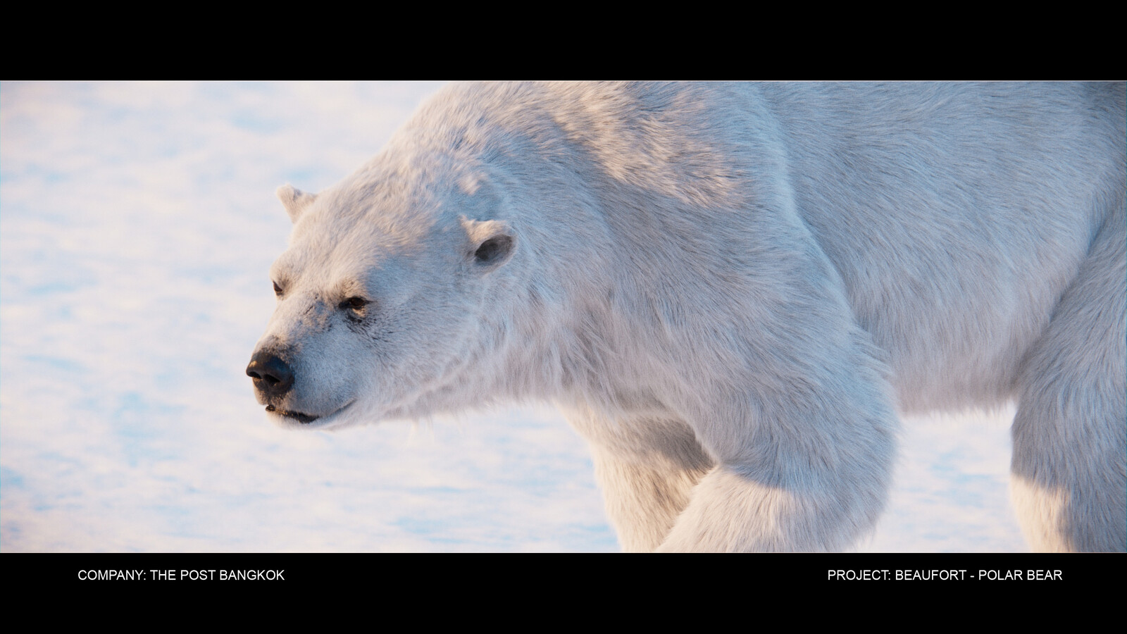 WIP 4 : Polar Bear