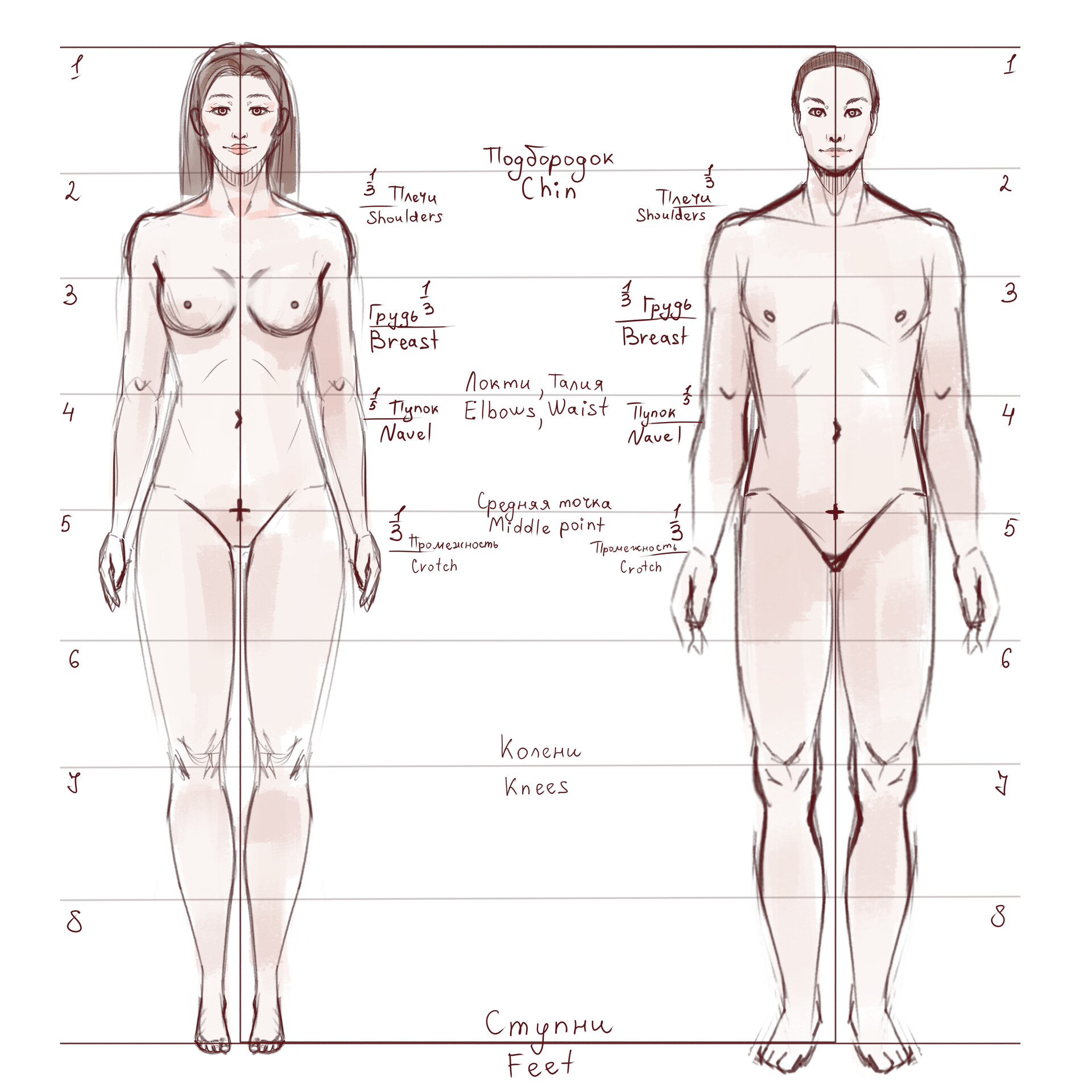 Ksenia Pirogova - Body proportions