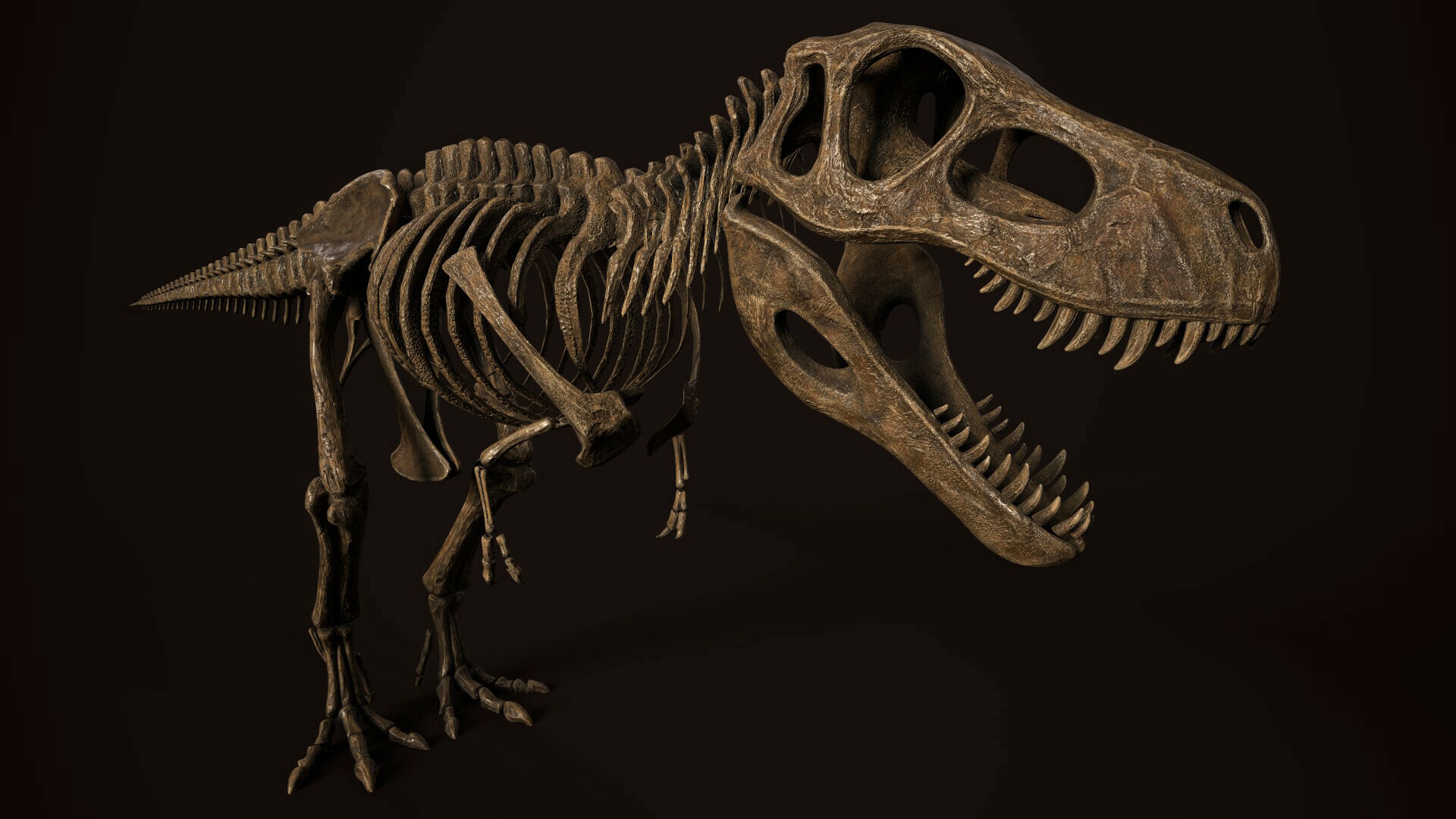 Amanda Sheets The Adventures Of Rufus The Fantastic Pet