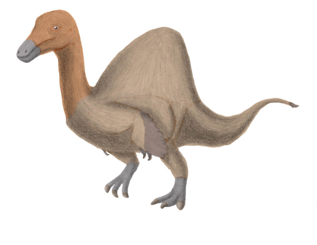 Deinocheirus mirificus – The Paint Paddock