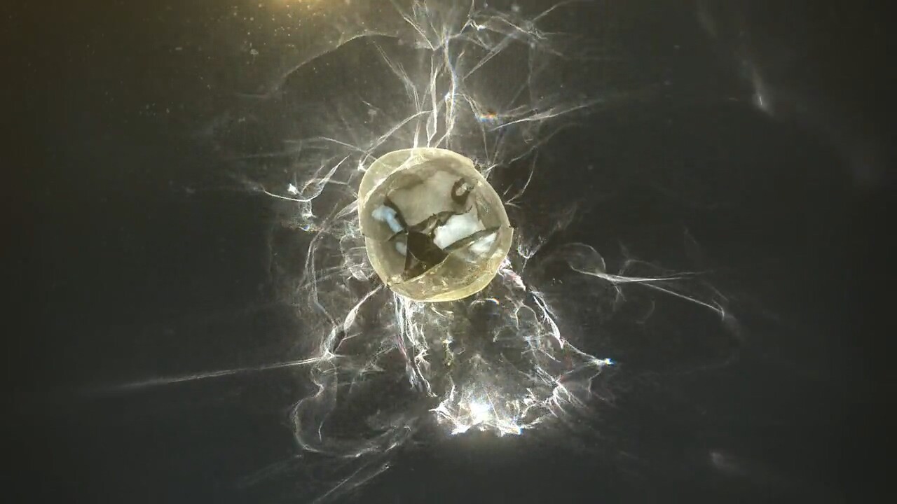 Jaeho Yu VRay Caustics Visual Lab