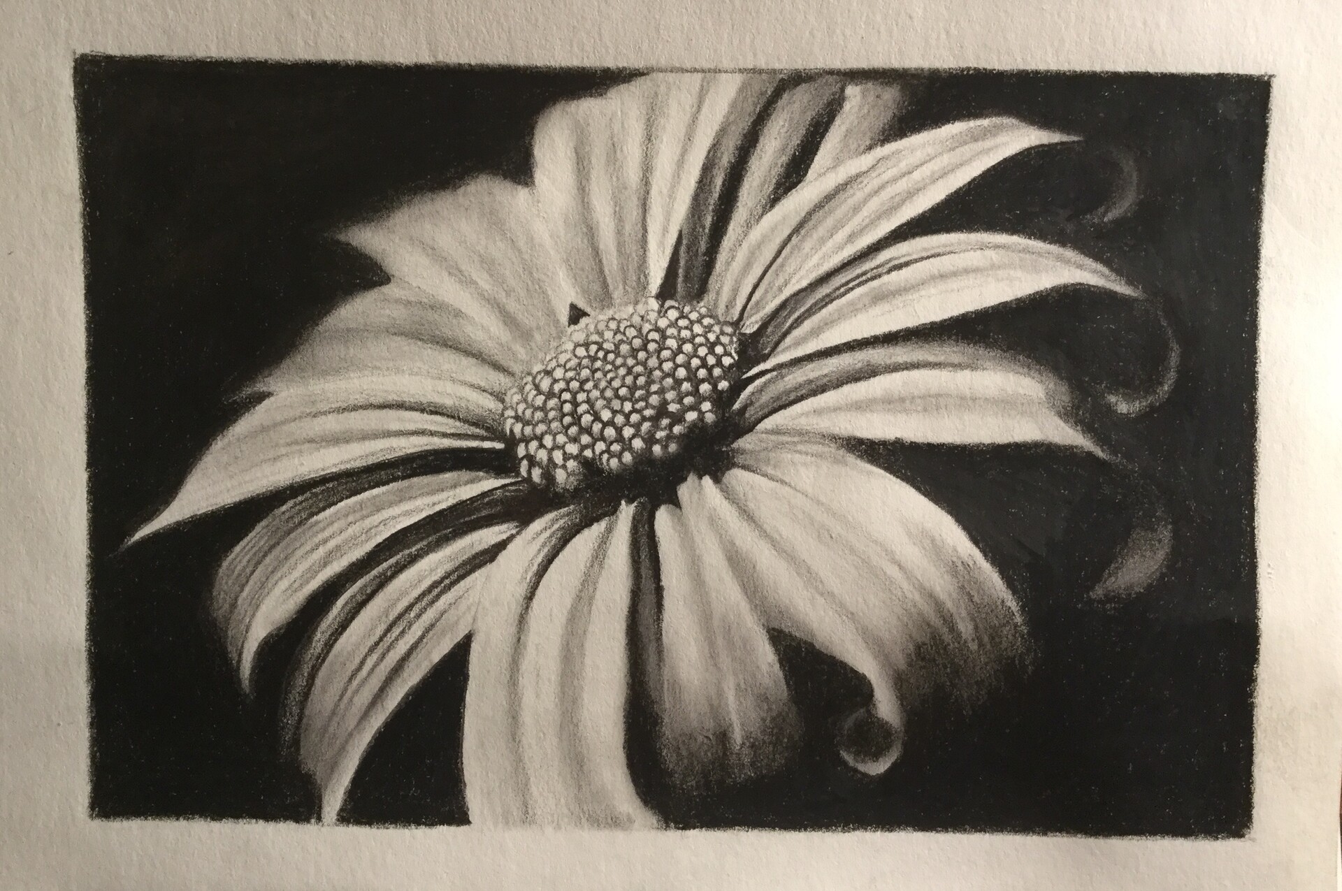 ArtStation Graphite flower