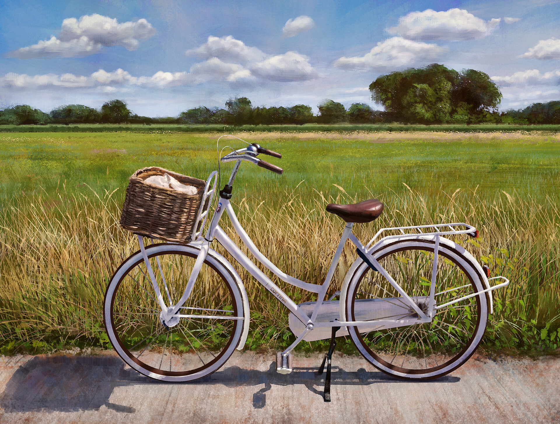 Sonnet vintage store bicycle