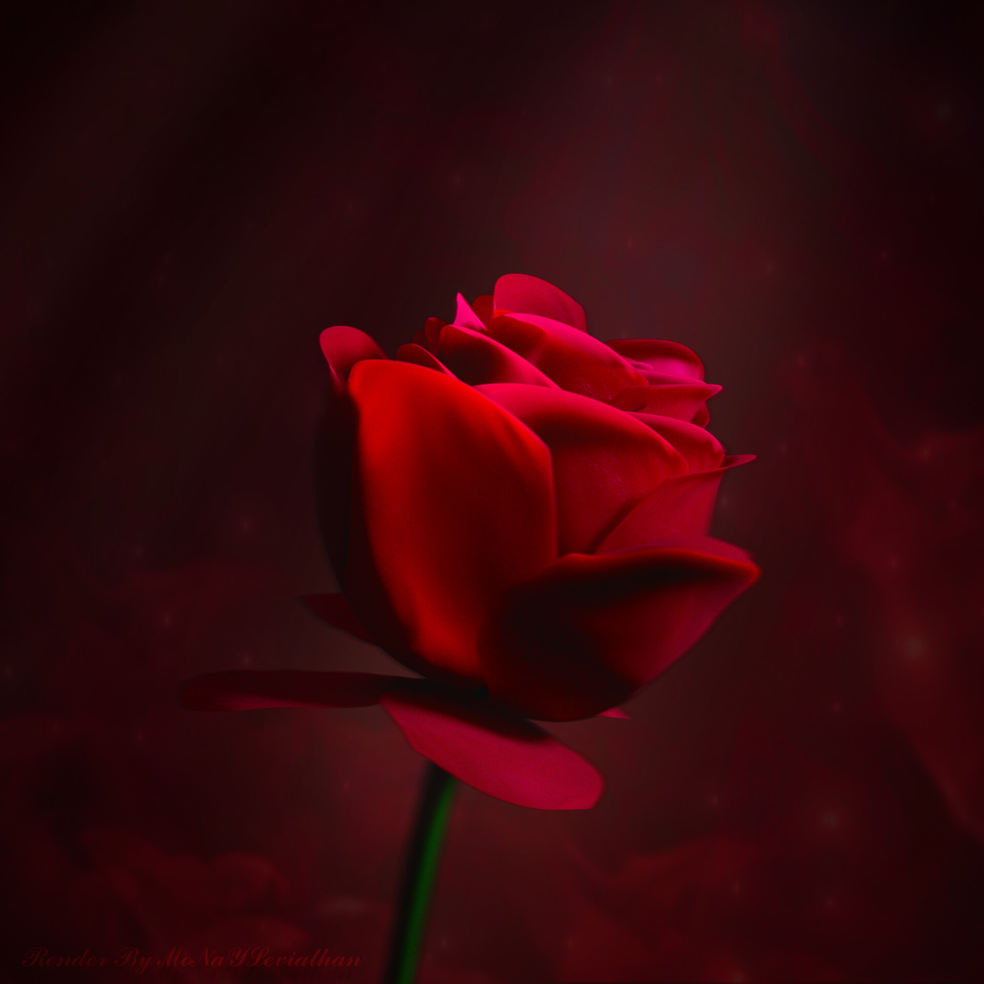 ArtStation - Red Rose Rendering 2020