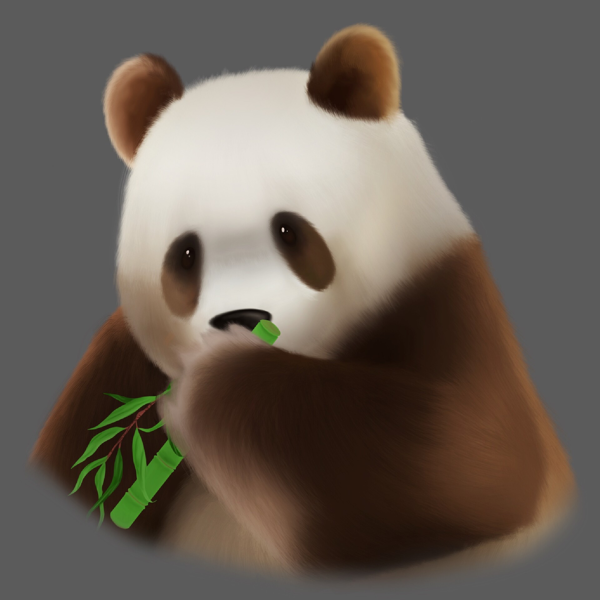 ArtStation Qi Zai, the Brown Panda Bear